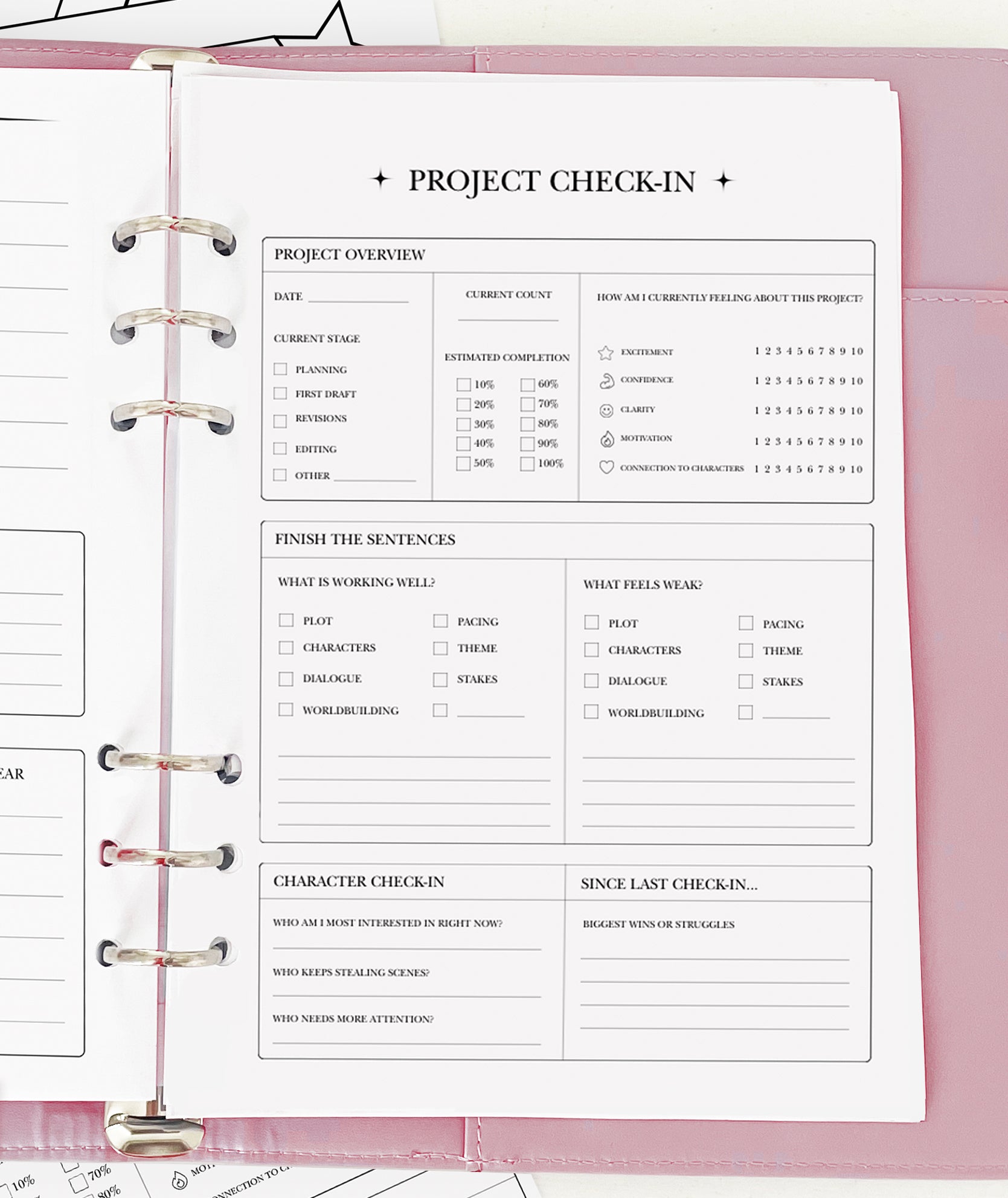 Project Check In - Planner Insert