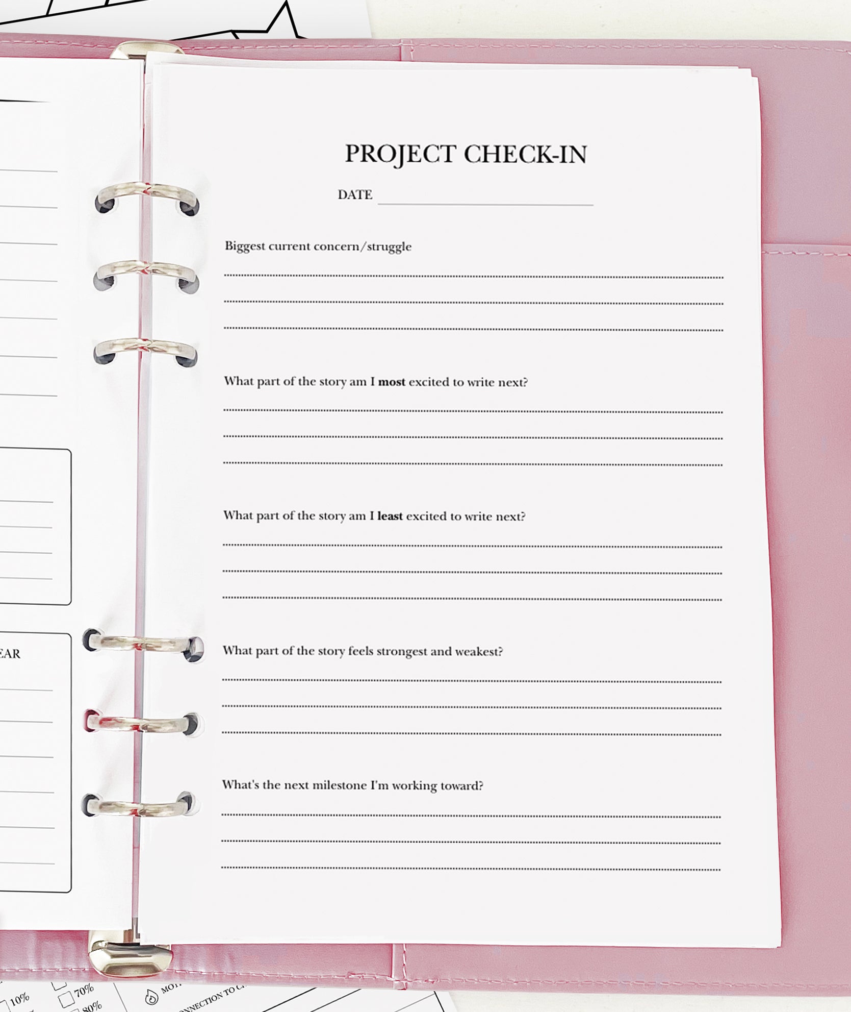 Project Check In - Planner Insert